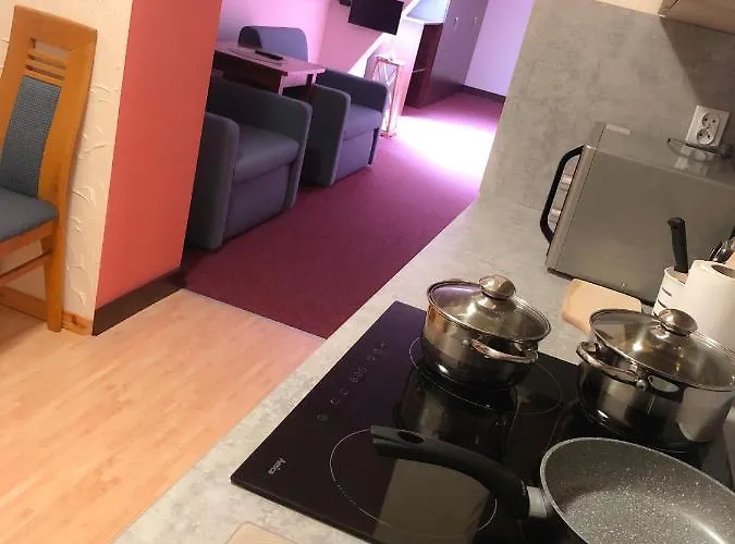 ホームステイ Pod Zegarem *